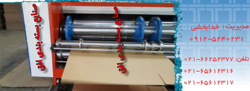کارتن سازی 